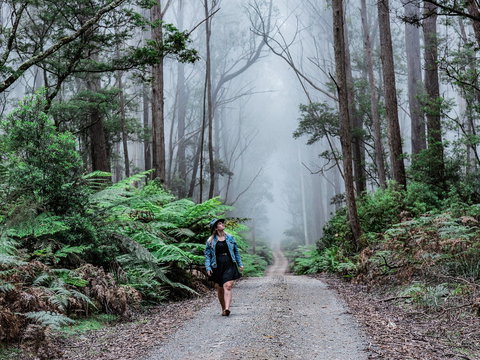 The Corn Trail Walking Track - Holiday Jervis Bay 0