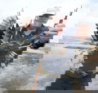 Tiddy Widdy Beach - Holiday Jervis Bay