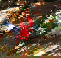 Trees Adventure - Glen Harrow Park - Holiday Jervis Bay