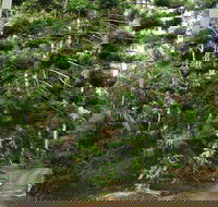 Way Way Creek Road Drive - Holiday Jervis Bay