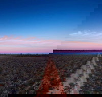Yanga National Park - Holiday Jervis Bay