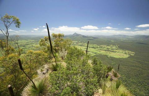 Border Ranges National Park - Holiday Jervis Bay 0