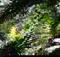 Byrrill Creek Walking Track - Holiday Jervis Bay