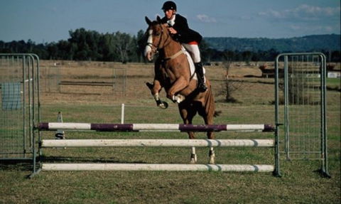 Camden Bicentennial Equestrian Park - Holiday Jervis Bay 0