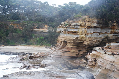 Cookies Beach Picnic Area - South Durras - Holiday Jervis Bay 2