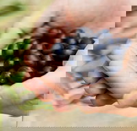 Eat Pick Grow Trail - Wanneroo and Chittering - Holiday Jervis Bay