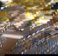 Evandale - Holiday Jervis Bay