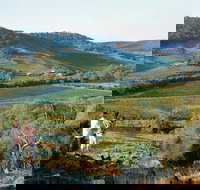 Farm Flavour Trail Chittering Valley - Holiday Jervis Bay