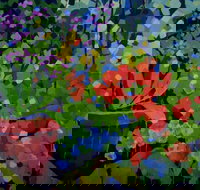 Ferry Artists Gallery - Holiday Jervis Bay