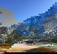 Grenfell Endemic Garden - Holiday Jervis Bay