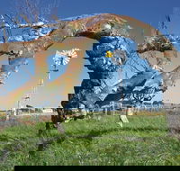 Greenough Leaning Trees - Holiday Jervis Bay