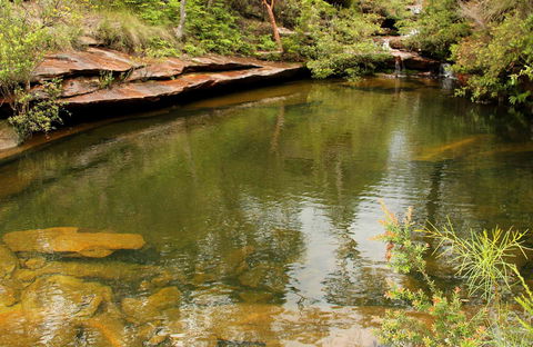 Hominy Creek Walking Track - Holiday Jervis Bay 0