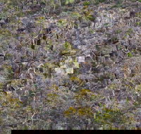 Horsnell Gully and Giles Conservation Parks - Holiday Jervis Bay