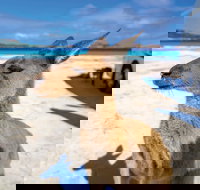 Lucky Bay - Holiday Jervis Bay