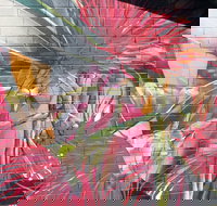 Mokoan Rest Stop Northbound - Holiday Jervis Bay