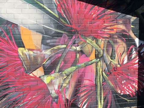 Mokoan Rest Stop Northbound - Holiday Jervis Bay 0