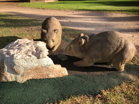 Queen Square, Moonta - Holiday Jervis Bay 1