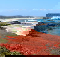 Red Cliff - Holiday Jervis Bay