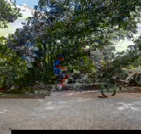 Samford Valley Rail Trail - Holiday Jervis Bay