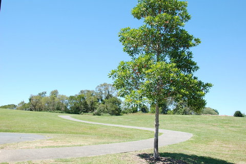 Samford Valley Rail Trail - Holiday Jervis Bay 2