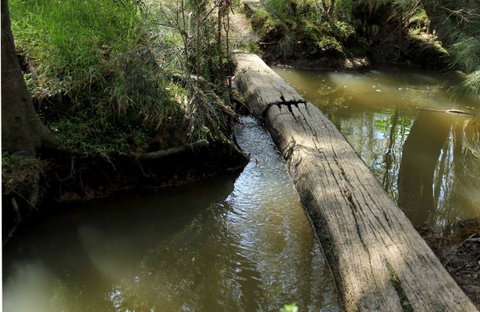 Second Ponds Creek Walk - Holiday Jervis Bay 0