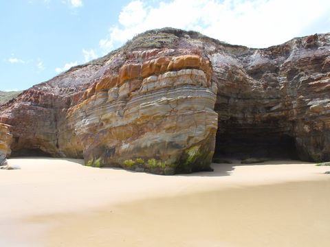 Shelley Caves - Holiday Jervis Bay 0