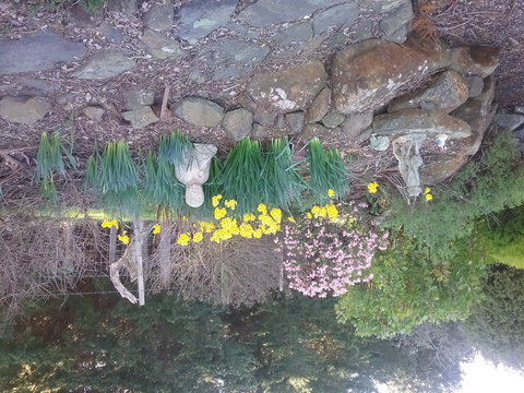 The Quiet Cone - Sound & Relaxation Centre - Holiday Jervis Bay 2