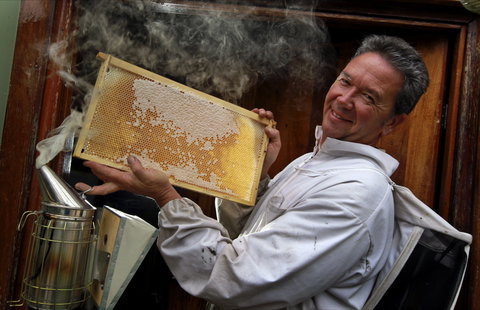 The House Of Honey - Holiday Jervis Bay 0