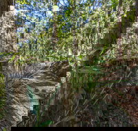 Thylogale Track - Holiday Jervis Bay