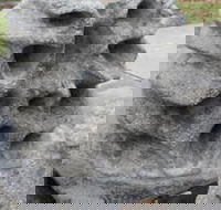 Windara Reef - Holiday Jervis Bay