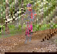 Bom Bom State Forest Mountain Bike Trails - Holiday Jervis Bay