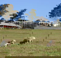 Calmsley Hill City Farm - Holiday Jervis Bay