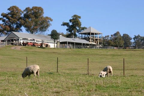 Calmsley Hill City Farm - Holiday Jervis Bay 0