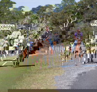 Dayboro - Holiday Jervis Bay