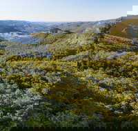 Gold Coast Hinterland Great Walk - Holiday Jervis Bay