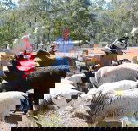 Haigslea EWE Nique Hobby Farm - Holiday Jervis Bay