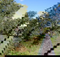 Kepwari Trails Wetland Wonderland - Holiday Jervis Bay