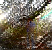 Kinglake National Park - Holiday Jervis Bay