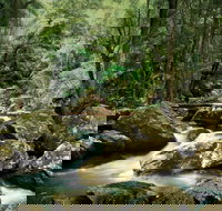 Maleny - Holiday Jervis Bay