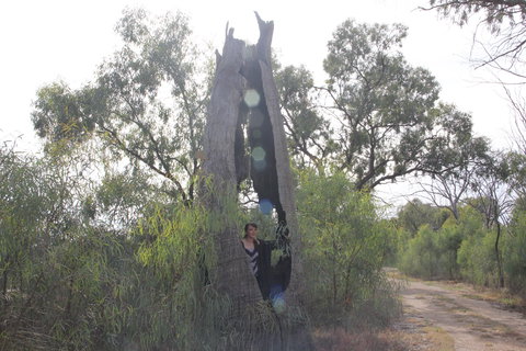 Martin Bend Wetland And Walking Trail - Holiday Jervis Bay 1