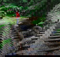 Montezuma Falls - Holiday Jervis Bay