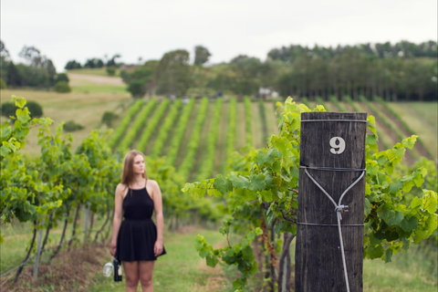 Naturally Luxurious - Great Beach Drive - Holiday Jervis Bay 0