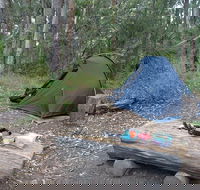 Northbrook Mountain Bush Camp - Holiday Jervis Bay