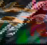 Seahorse World - Holiday Jervis Bay