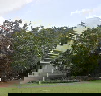 State Square Banyan Tree - Holiday Jervis Bay