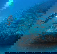 The Zanoni Wreck - Holiday Jervis Bay