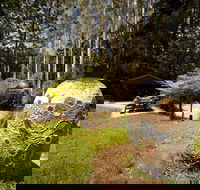 The Pines Picnic Area - Holiday Jervis Bay