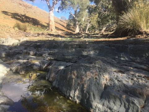 Three Creeks Station -Arkaroona Creek Walk - Holiday Jervis Bay 0