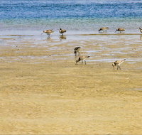 Towra Beach - Holiday Jervis Bay