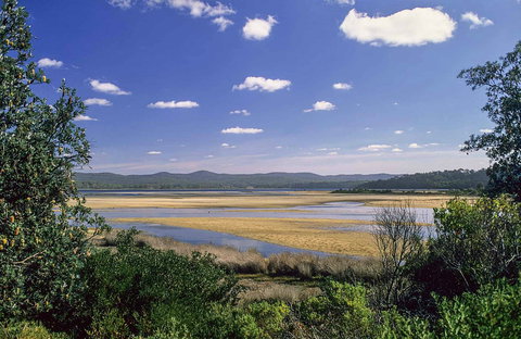Wallagoot Lake Picnic Area And Boat Ramp - Holiday Jervis Bay 0